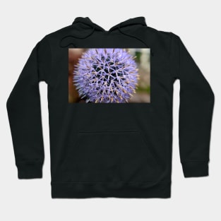 Small Globe Thistle 7 Hoodie